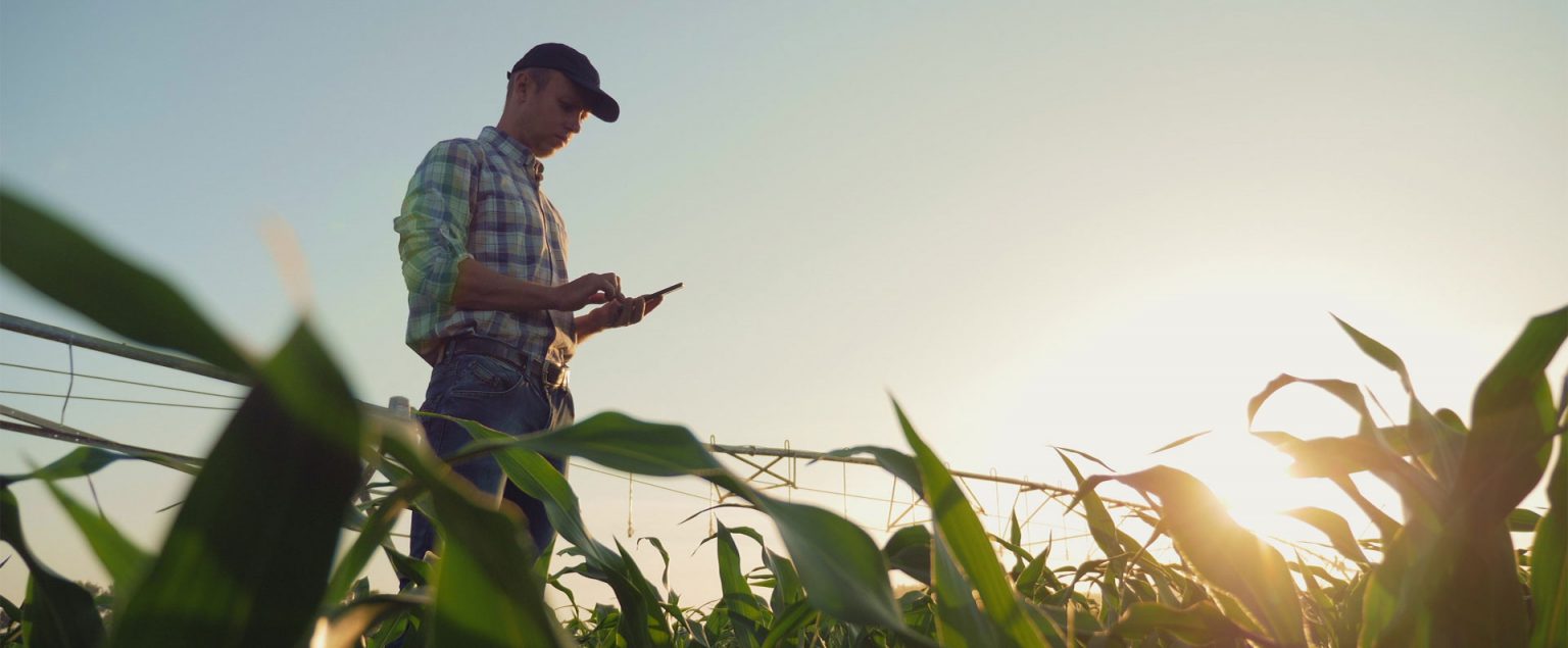 Contact Us Millennium Farms