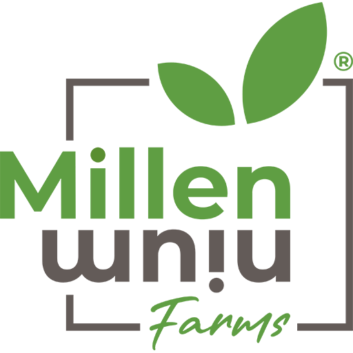 Millennium Farms